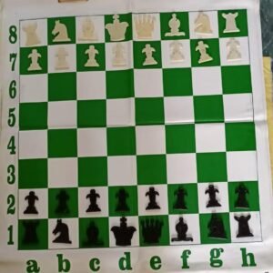 Chess Demo Board