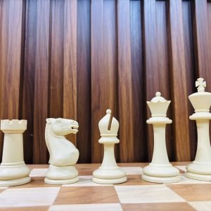 Study Chess set